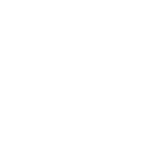 Customized Solutions